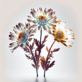 Magic flowers by Bert Nijholt