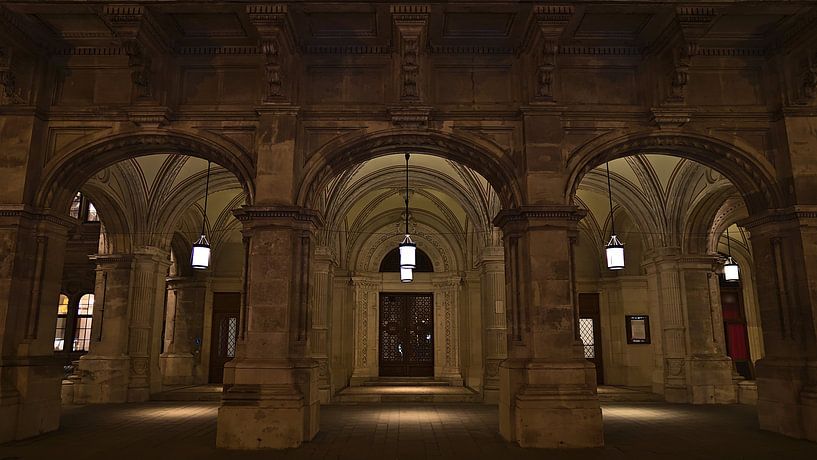 Entrée latérale de l'Opéra d'État de Vienne dans l'obscurité par Timon Schneider