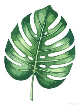 Stille botanica – Monstera in het wit