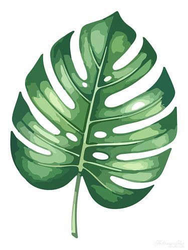 Botanique silencieuse – Monstera en blanc