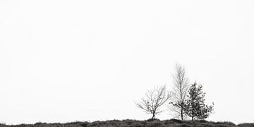 Together by John Goossens Photography