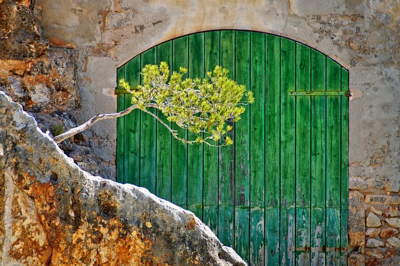 From the stone by Martina Fornal
