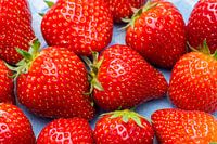 Strawberries Harvest on blue Cloth
