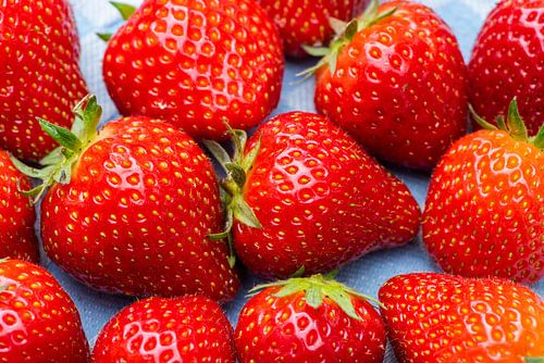 Geplukte verse aardbeien