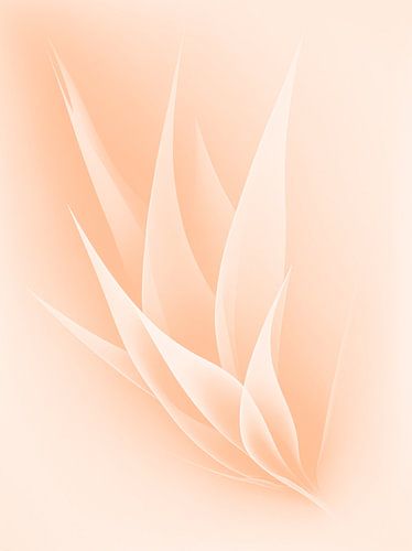 Abstracte Bloem in Zacht Perzik – Delicate Witte Vormen