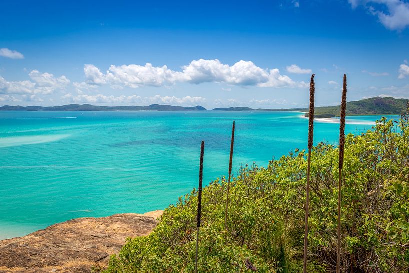 Whitehaven Strand auf den Whitsundays in Australien von Troy Wegman