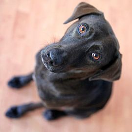 augenblick von fantasina