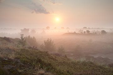 Summer tranquility von Olha Rohulya