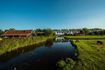Hollandse Landschappen. van Brian Morgan