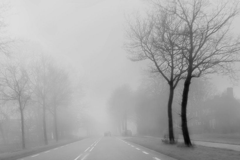 Brouillard un jour d'hiver. par Alie Ekkelenkamp