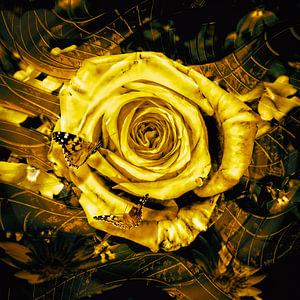 Goldene Rose in Wellen