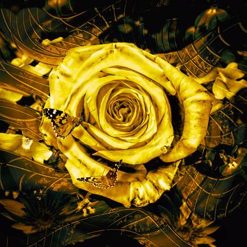 Golden Rose in Waves van Helga Blanke