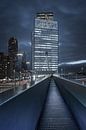 Skyline von Rotterdam von Dennis Donders Miniaturansicht