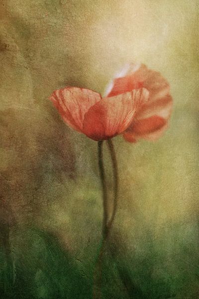 Moments of love by Maria Ismanah Schulze-Vorberg