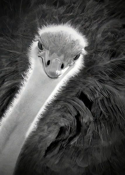 Hey, you there... here I am! by Christa Krus