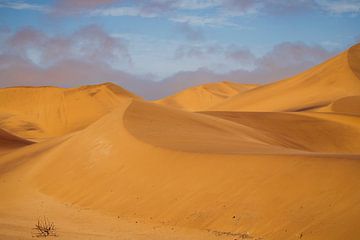 Sand dunes of Swakopmund by Antwan Janssen