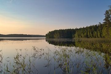 Gouden zonsondergang boven een rustig bosmeer in Scandinavië.