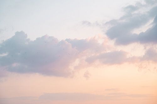Zonsondergang Boven Het IJsselmeer Bij Urk