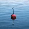 Buoy in the Warnow at the city harbour of Rostock by Rico Ködder