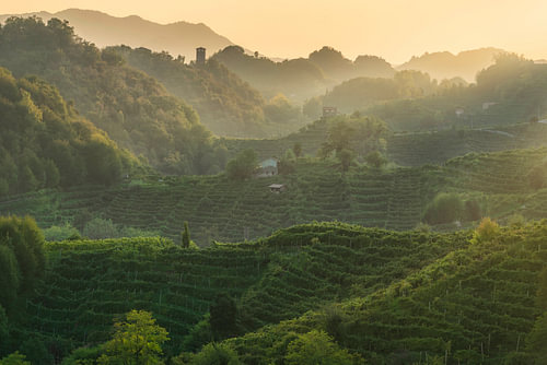 Coucher de soleil sur les collines du Prosecco, près du sanctuaire de Collagù, en Vénétie