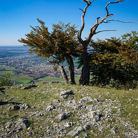 Albtrauf, Swabian Alb II by Ullrich Gnoth