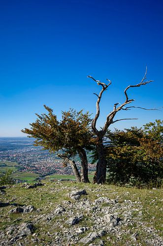 Albtrauf, Swabian Alb II