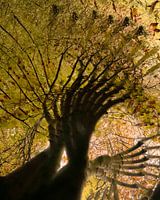 Les mains tendues