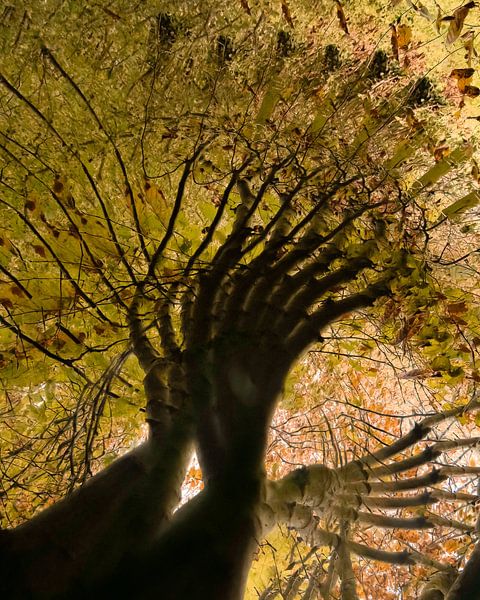 Les mains tendues par Lucia Leemans