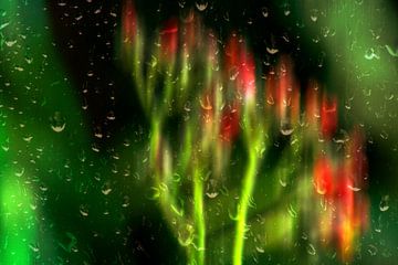 Bloemen door een regenachtig raam van Michael Nägele