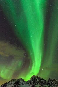 Nordlichter, Polarlicht oder Aurora Borealis im nächtlichen Himmel über den Lofoten Inseln in Nord-N