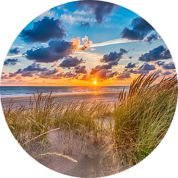 Summer Beach July - Hollandse Duinen