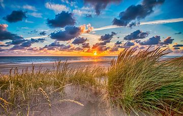 Summer Beach July - Hollandse Duinen van Alex Hiemstra