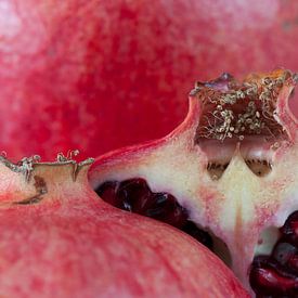 Pomegranate by Nicky Schouten