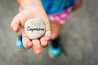 Steen met cooperative