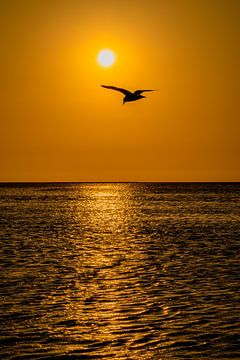 Zonsondergang in Walvis Bay Namibië, Afrika van Patrick Groß