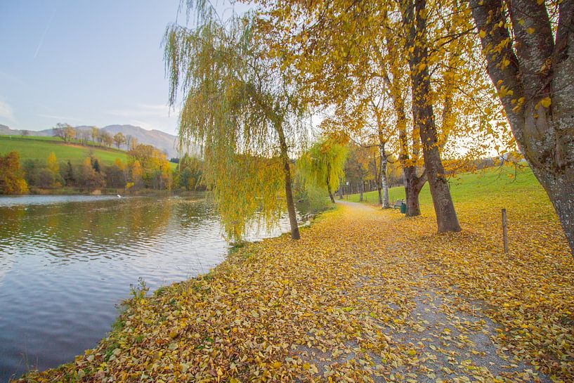 Herbst am Ritzensee in Österreich mit gelben Blättern von Marco Leeggangers