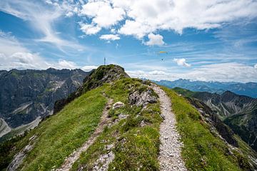 Uitzicht op de Entschenkopf en de Nebelhorn in de Allgäuer Alpen van Leo Schindzielorz