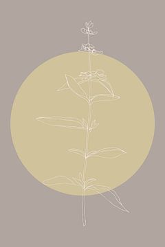Japandi. Boho botanische basilicum bloem in goud en taupe nr. 5 van Dina Dankers