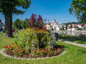 Uitzicht op de Drie Rivieren stad Passau in Beieren van Animaflora PicsStock