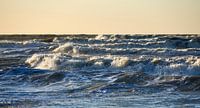The sea