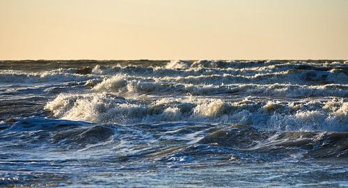 De zee