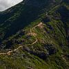 een wandelpad door de bergen van madeira van Robinotof