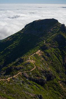 a trail through the mountains of madeira