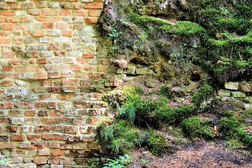Verwitterte mittelalterliche Steinmauer und Überwucherung