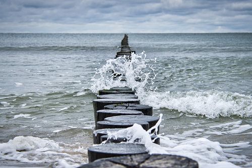 Épis à Zingst sur la mer Baltique, qui s'enfoncent dans la mer