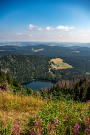 Vue sur le Feldsee depuis le Feldberg sur Levi Loeve