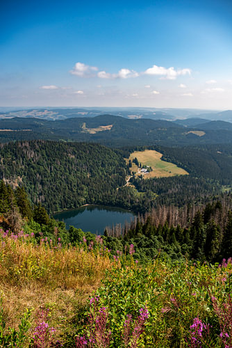 Blick auf den Feldsee vom Feldberg aus