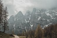 Gebirgspass in den Julischen Alpen von Paulien van der Werf Miniaturansicht