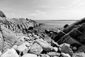 Roches dans le grand océan - Noir et blanc (B)