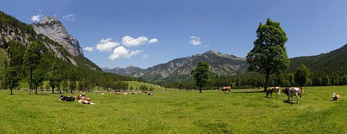 Hasentalalm van Bart van Dinten